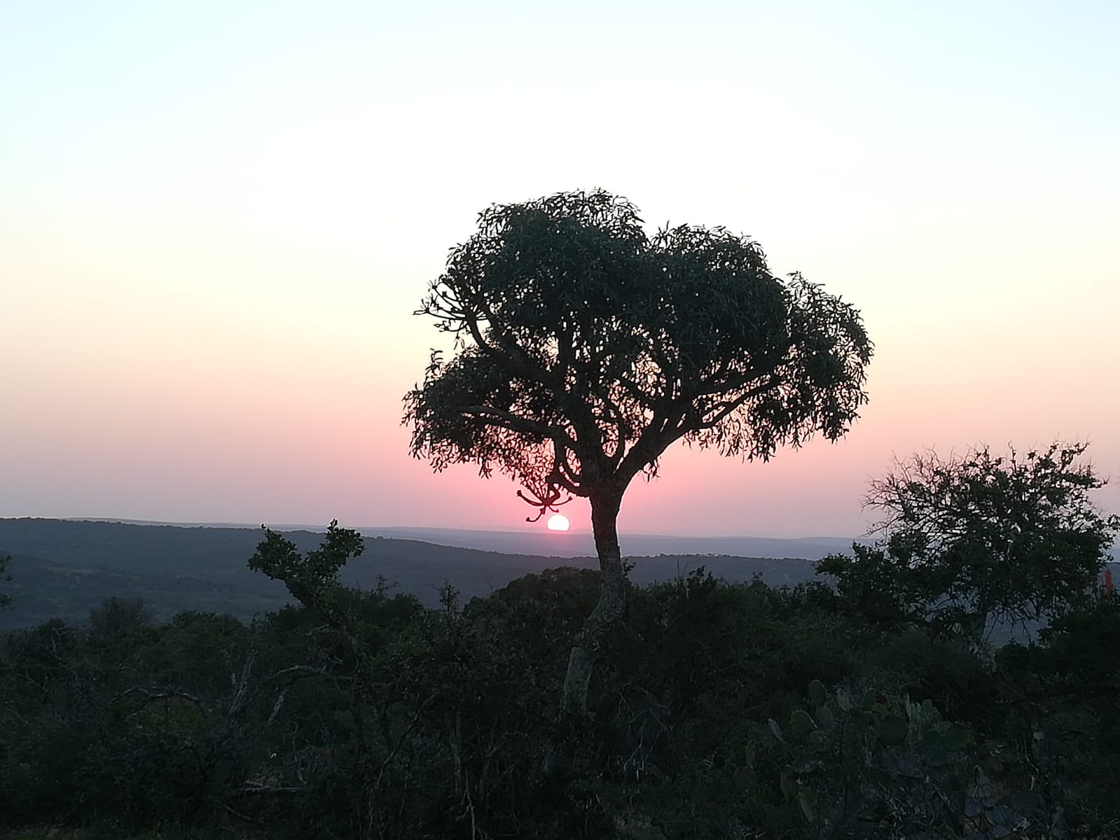 Dawn over the Eastern Cape