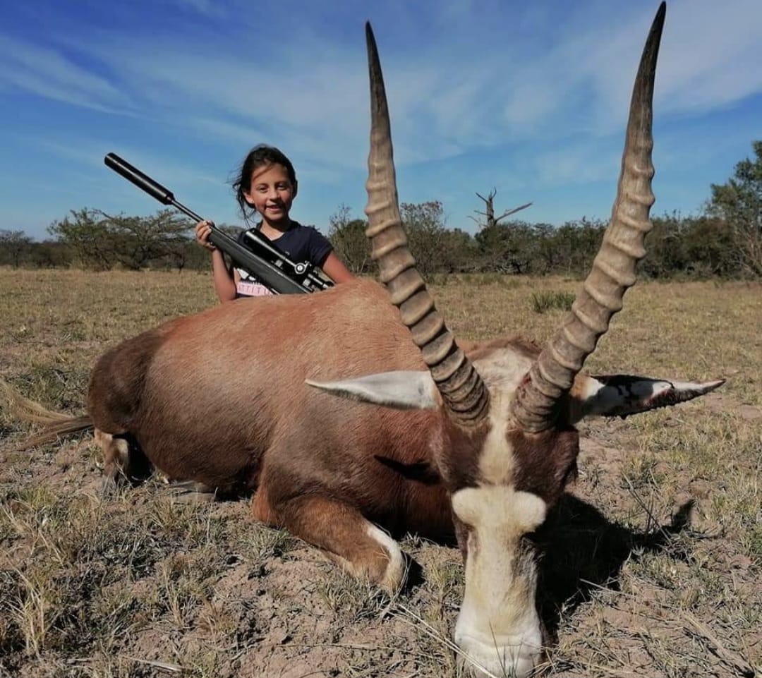 Blesbok hunting safari