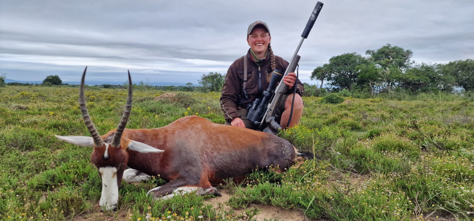 Blesbok in the bush