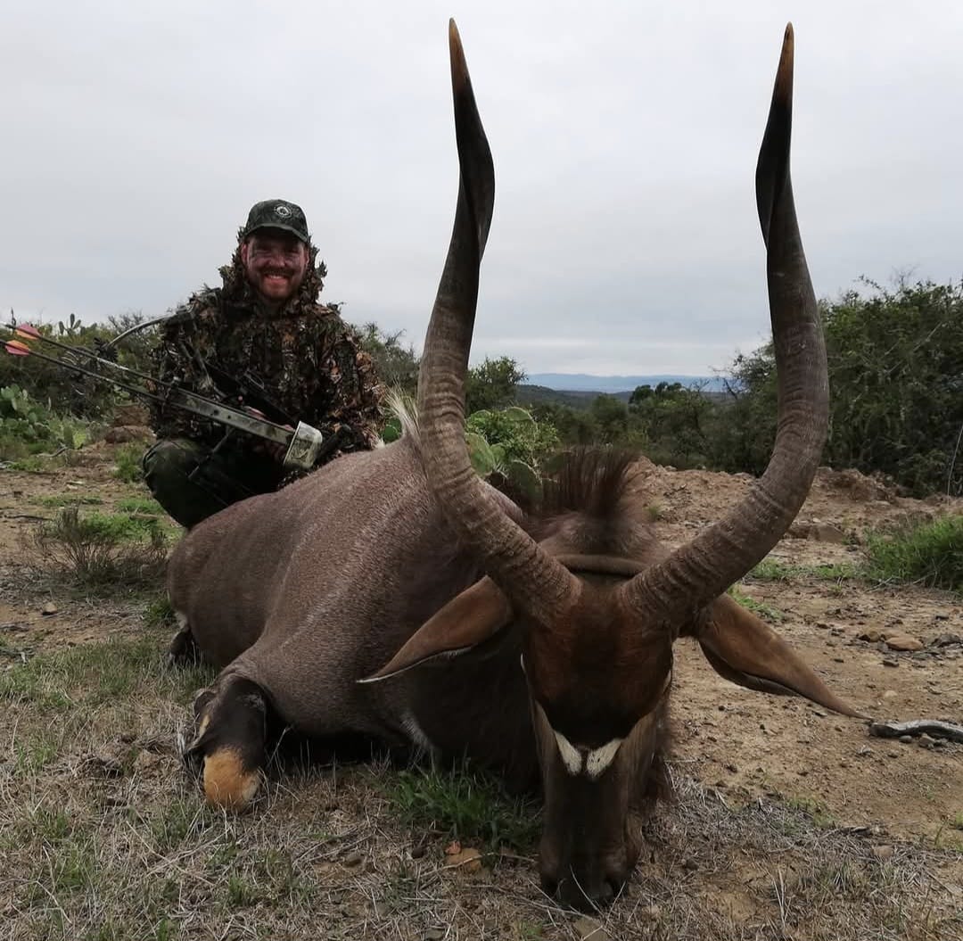 Kudu hunting safari