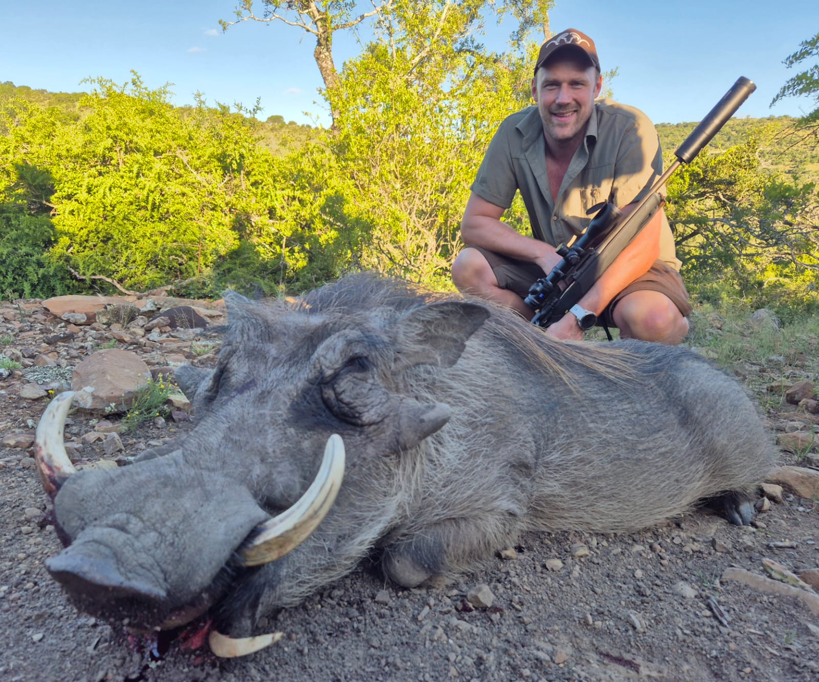 Warthog hunting safari