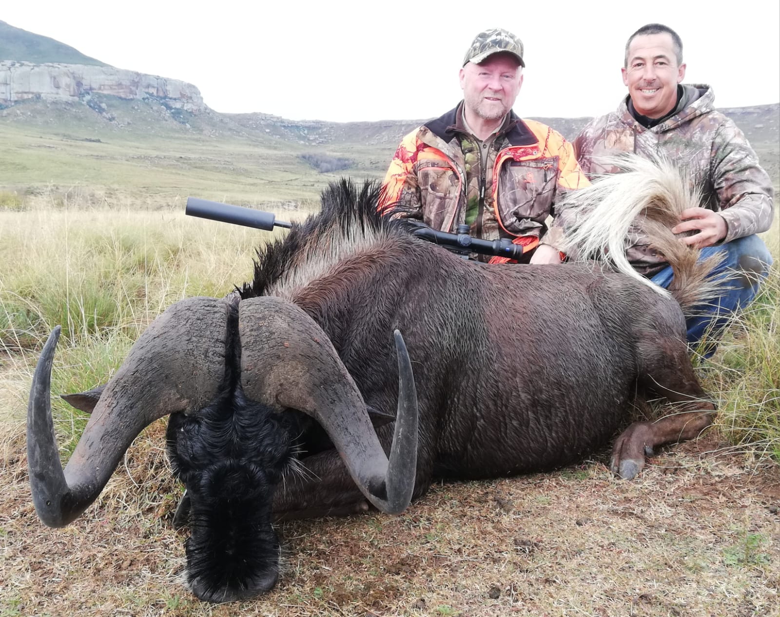 Wildebeest hunting safari