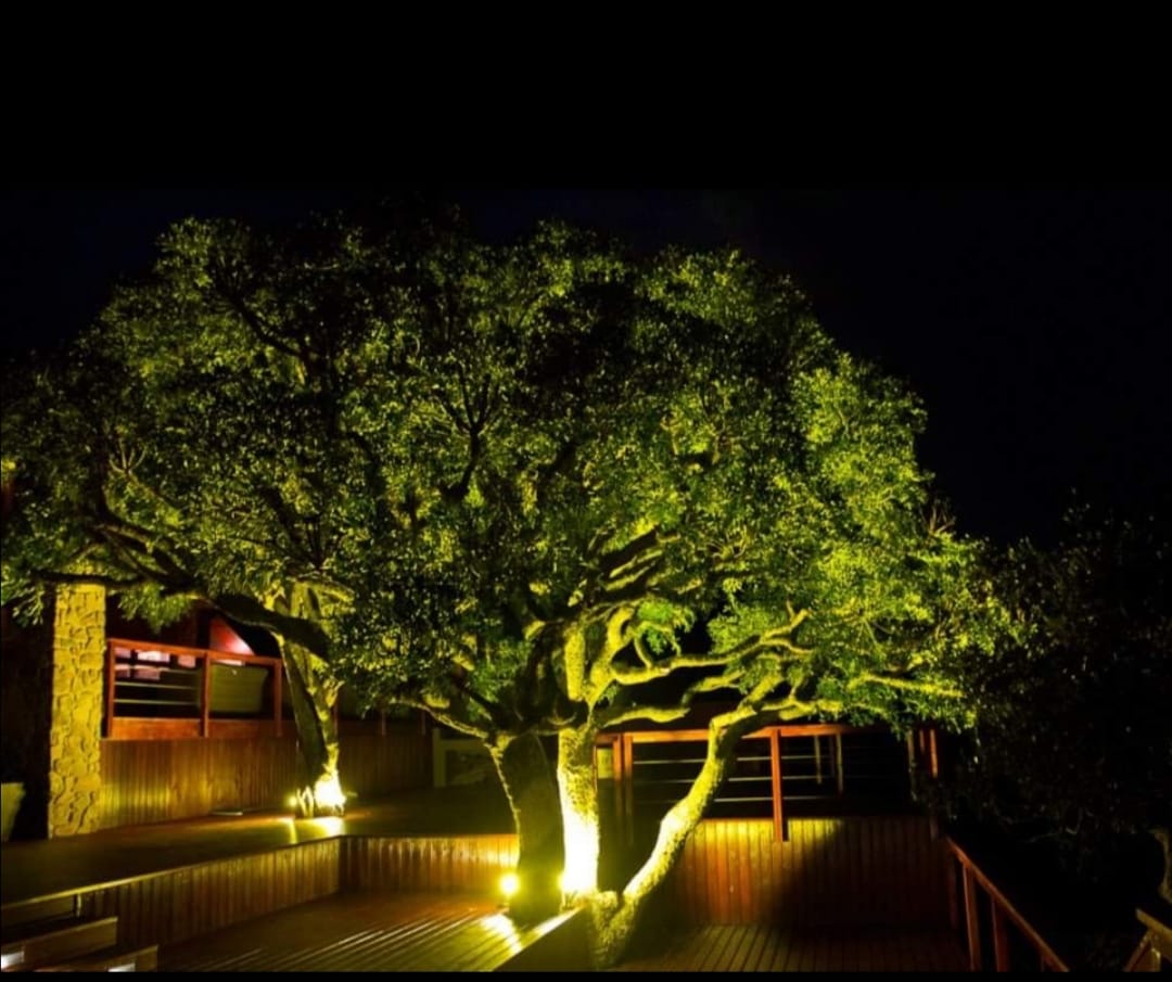 Grey's Gift Lodge