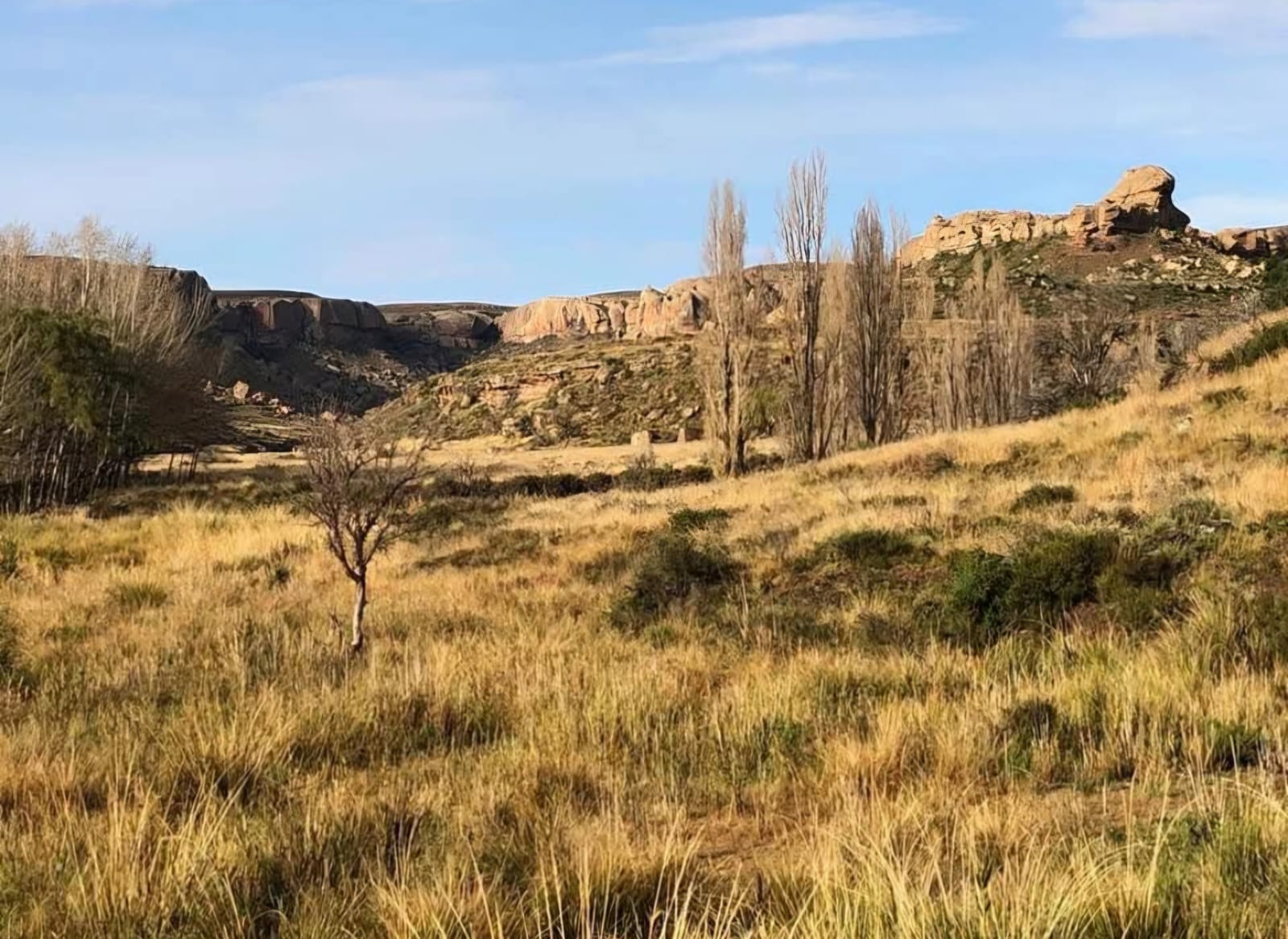 Eastern Cape landscape